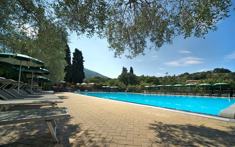 Camping Village Il Fontino: Piscina, Cielo, Albero, Vacanza, Ricorrere, Tempo Libero, Turismo, Mare, Montagna, Tropici
