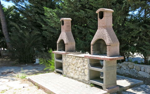 Vieste 612: Albero, Scultura, Legna, Pianta, Sito Storico, Roccia