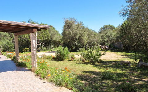 Stazzu Mendola: Proprietà, Paesaggio Naturale, Giardino, Immobiliare, Riserva Naturale, Cortile, Albero, Erba, Botanica, Giardino Botanico