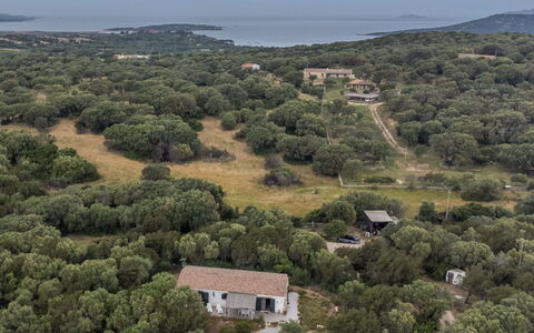 Stazzu Mendola: Cielo, Pianta, Comunita 'Impianto, Ecoregione, Paesaggio Naturale, Albero, Vegetazione, Lotto, Casa, Biome