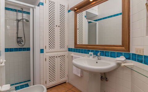 Mimosa: Specchio, Rubinetto, Idraulico Fixture, Lavello, Lavandino Del Bagno, Proprietà, Soffione Doccia, Bagno, Verde, Azzurro