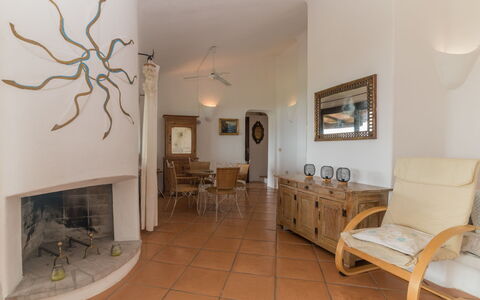 Mimosa: Cornice, Mobilia, Pianta, Tavolo, Costruzione, Legna, Interior Design, Pavimento, Pavimentazione, Casa