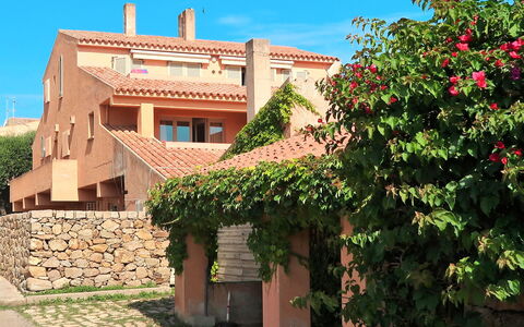 Palau 692: Fiore, Pianta, Cielo, Costruzione, Proprietà, Finestra, Architettura, Vegetazione, Brick, Zona Residenziale