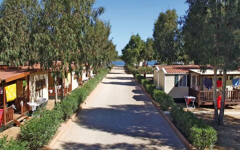 Alghero 636: Acqua, Cielo, Proprietà, Piscina, Azzurro, Nube, Località Balneare, Mobili Da Esterno, Pianta, Albero
