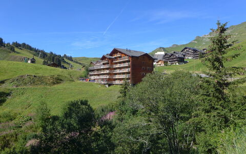 Les Crosets 606: Pianta, Cielo, Costruzione, Paesaggio Naturale, Albero, Montagna, Lotto, Pendenza, Casa, Groundcover