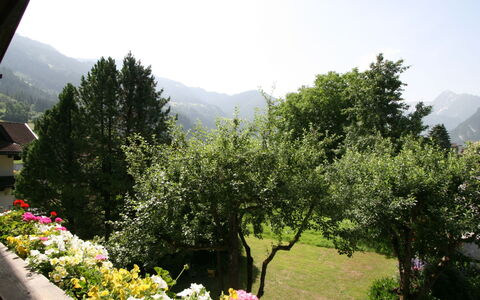 Klocker: Fiore, Cielo, Pianta, Comunita 'Impianto, Montagna, Verde, Paesaggio Naturale, Albero, Erba, Tempo Libero