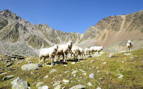 Pult: Montagna, Cielo, Paesaggio Naturale, Pascolo, Pendenza, Catena Montuosa, Geografia Montane, Paesaggio, Pascolo
