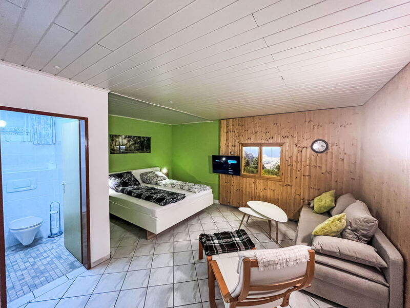 Alloggio:&nbsp;The Green Studio 610.4