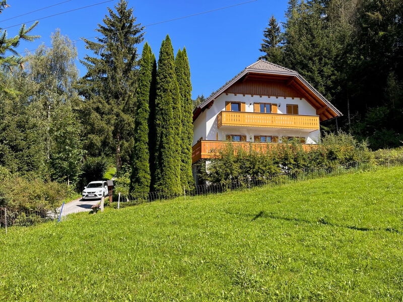Stein an der Enns 610