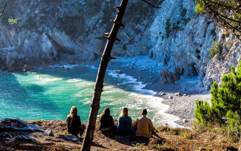 Le Vieux Chêne: Acqua, Pianta, Azzurro, Ramo, Paesaggio Naturale, Legna, Luce Del Sole, Tronco, Corpo D'Acqua, Alveo