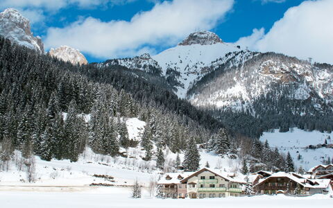 Campitello 632: Nube, Cielo, Neve, Montagna, Natura, Paesaggio Naturale, Pendenza, Highland, Congelamento, Albero