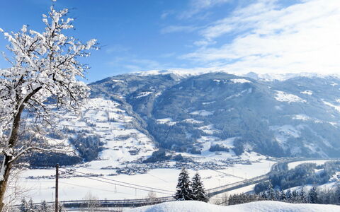 Unterkreuter: Nube, Cielo, Montagna, Ecoregione, Neve, Azzurro, Pianta, Paesaggio Naturale, Pendenza, Albero
