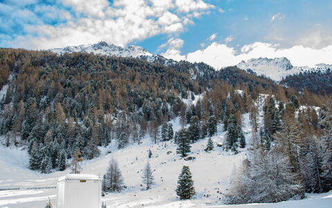 Siviez-Nendaz 649: Neve, Geografia Montane, Inverno, Montagna, Albero, Catena Montuosa, Terreno, Highland, Hill Station, Geomorfologia Glaciale