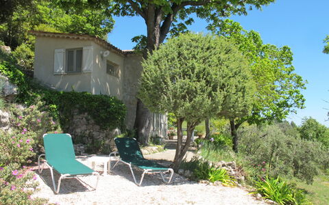 Le Cabanon: Vegetazione, Arbusto, Primavera, Villetta, Giardino, Shade, Backyard, Cortile, Sedia