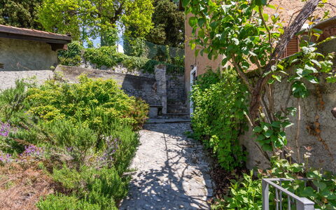 Meri (Vna225): Pianta, Manto Stradale, Vegetazione, Costruzione, Quartiere, Biome, Woody Impianto, Paesaggio Naturale, Casa, Albero