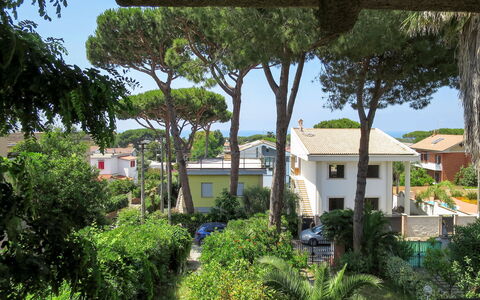 Gli Oleandri: Proprietà, Vegetazione, Casa, Immobiliare, Zona Residenziale, Casa, Costruzione, Albero, Quartiere, Architettura