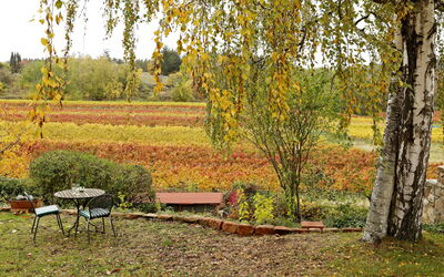 Am Weinberg