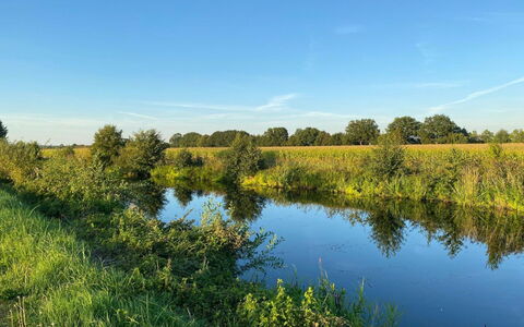 Am Park: Cielo, Blu, Risorse Idriche, Acqua, Verde, Corpo D'Acqua, Paesaggio Naturale, Natura, Ambiente Naturale, Erba