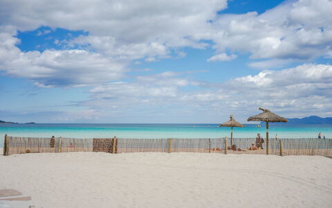 Los Girasoles: Spiaggia, Cielo, Mare, Blu, Oceano, Vacanza, Riva, Sabbia, Orizzonte, Costa