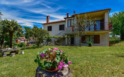 Santin: Proprietà, Casa, Casa, Immobiliare, Costruzione, Zona Residenziale, Estate, Albero, Area Rurale, Architettura