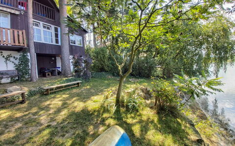 Pondside Retreat & Canoe: Pianta, Costruzione, Finestra, Comunita 'Impianto, Albero, Vegetazione, Shade, Luce Del Sole, Erba, Biome