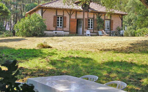 Hollebarde: Pianta, Costruzione, Proprietà, Finestra, Albero, Botanica, Natura, Casa, Erba, Vegetazione