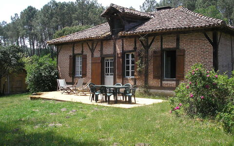 Hollebarde: Proprietà, Casa, Casa, Villetta, Costruzione, Immobiliare, Estate, Architettura, Agriturismo, Albero