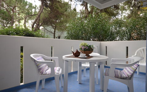 Lignano Sabbiadoro 643: Tavolo, Mobilia, Proprietà, Pianta, Costruzione, Sedia, Interior Design, Shade, Albero, Legna