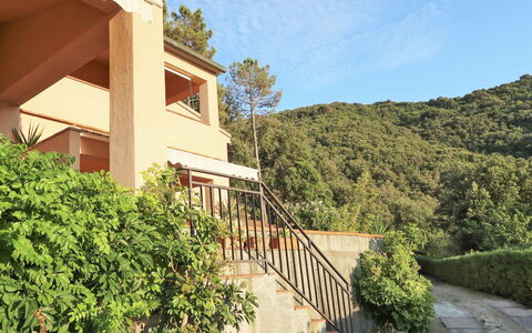 Nisportino 601: Proprietà, Vegetazione, Casa, Zona Residenziale, Immobiliare, Costruzione, Casa, Architettura, Botanica, Albero