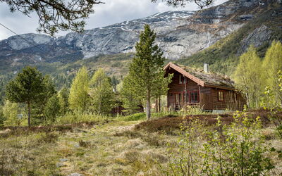 Myravatnet