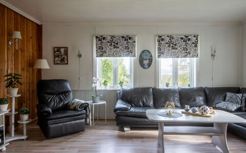Gulehuset: Divano, Mobilia, Pianta, Legna, Interior Design, Pavimento, Pianta Della Casa, Comfort, Soggiorno, Shade