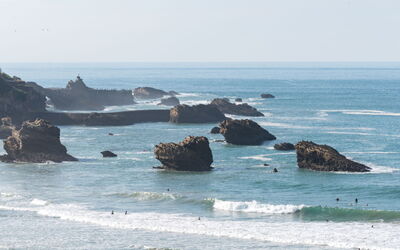 Alloggio:&nbsp;Victoria Surf 180.14
