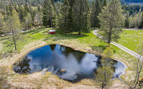 Fjellro: Albero, Paesaggio Naturale, Paesaggio, Tarn, Banca, Natura Selvaggia, Foresta, Stagno, Riflessione, Larice