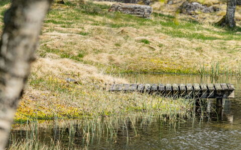 Fjellro: Acqua, Ambiente Naturale, Paesaggio Naturale, Palude, Banca, Alveo, Comunita 'Impianto