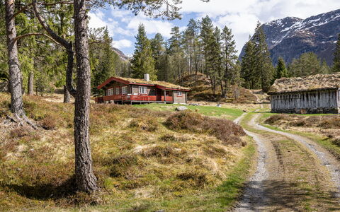 Fjellbris: Erba, Albero, Geografia Montane, Montagna, Paesaggio Naturale, Casa, Highland, Paesaggio, Villetta