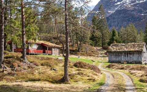Fjellbris: Erba, Geografia Montane, Montagna, Paesaggio Naturale, Casa, Highland, Collina, Villetta, Paesaggio