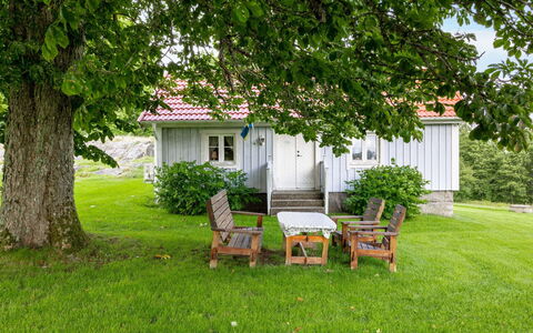 Hökagården: Pianta, Mobilia, Proprietà, Costruzione, Albero, Natura, Finestra, Casa, Lotto, Vegetazione