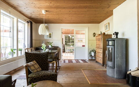 Vänneböke: Pianta, Finestra, Legna, Pianta Della Casa, Interior Design, Soggiorno, Pavimento, Pavimentazione, Cornice, Vaso Di Fiori