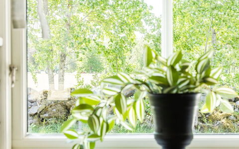 Skärvudde Huset: Pianta, Proprietà, Finestra, Vaso Di Fiori, Luce, Verde, Pianta Della Casa, Legna, Interior Design