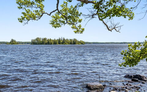 Skärvudde Huset: Acqua, Cielo, Pianta, Paesaggio Naturale, Ramo, Vegetazione, Albero, Lago, Costiera E Morfologie Oceanic, Alveo