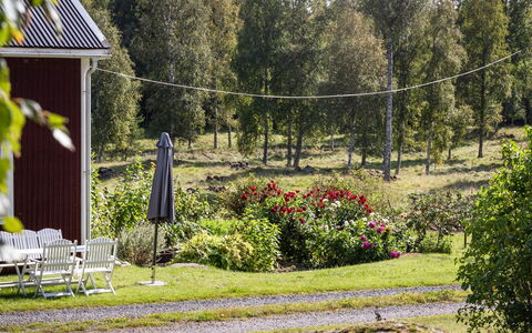 Långban: Pianta, Comunita 'Impianto, Paesaggio Naturale, Fiore, Albero, Lotto, Erba, Tempo Libero, Woody Impianto, Groundcover