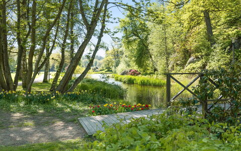 Ekenäs: Pianta, Acqua, Albero, Paesaggio Naturale, Shade, Lotto, Alveo, Banca, Erba, Groundcover