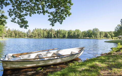 Norrviken: Pianta, Costruzione, Giorno, Proprietà, Acqua, Cielo, Blu, Azzurro, Albero, Arecales