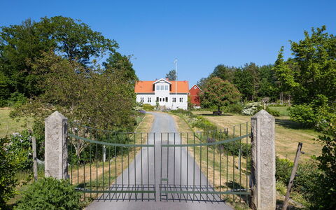Matvik: Cielo, Pianta, Proprietà, Costruzione, Vegetazione, Lotto, Architettura, Albero, Manto Stradale, Casa