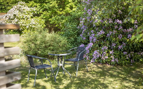 Ringsegård Höjden: Pianta, Comunita 'Impianto, Fiore, Tavolo, Botanica, Paesaggio Naturale, Mobili Da Esterno, Albero, Vegetazione, Tavolo Esterno