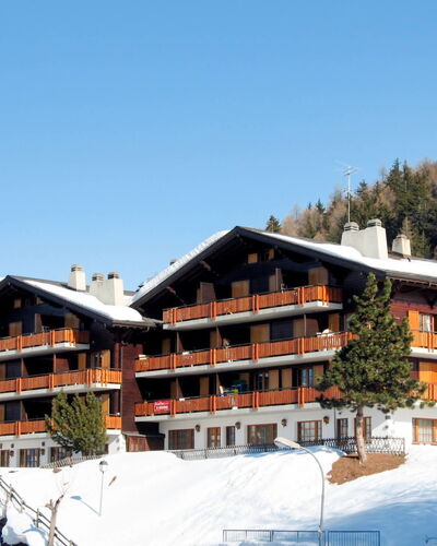 Mayens-de-l'ours 601