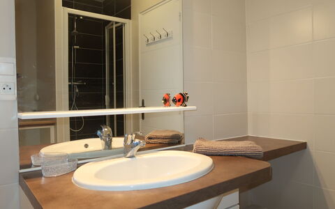 Plouhinec Morbihan 648: Specchio, Rubinetto, Idraulico Fixture, Lavello, Lavandino Del Bagno, Proprietà, Legna, Bagno, Interior Design, Pavimento