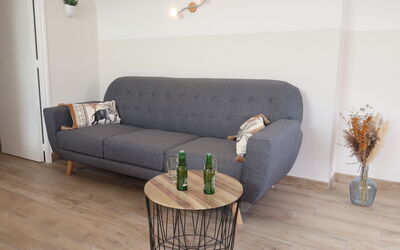 Hoedic 648.5: Tavolo, Mobilia, Divano, Legna, Interior Design, Illuminazione, Pianta Della Casa, Comfort, Soggiorno, Divano Letto