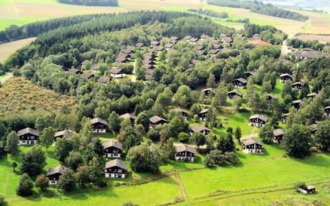 Thalfang 200: Pianta, Comunita 'Impianto, Verde, Natura, Ambiente Naturale, Paesaggio Naturale, Albero, Lotto, Highland, Vegetazione