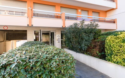 Arcachon 577: Pianta, Proprietà, Costruzione, Botanica, Vegetazione, Urban Design, Erba, Quartiere, Zona Residenziale, Immobiliare